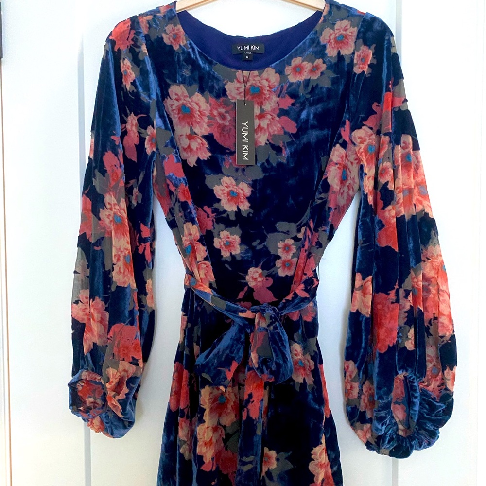 Yumi Kim Bellflower Velvet Dress NWT
